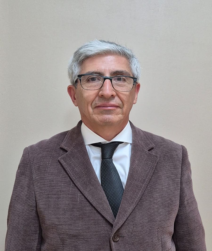 <strong>Cristian Vergara Belmar</strong>